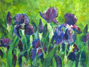 Early Iris